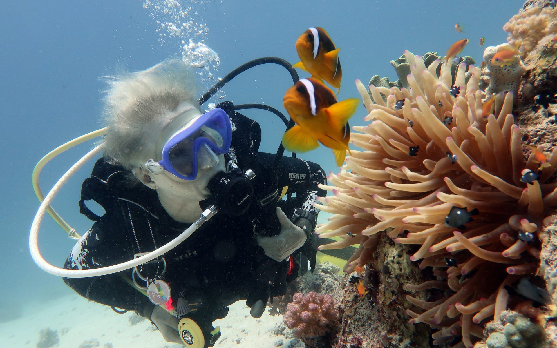 Explore The Stunning Marine Wildlife With Scuba Diving