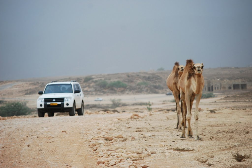 Abu Dhabi To Salalah