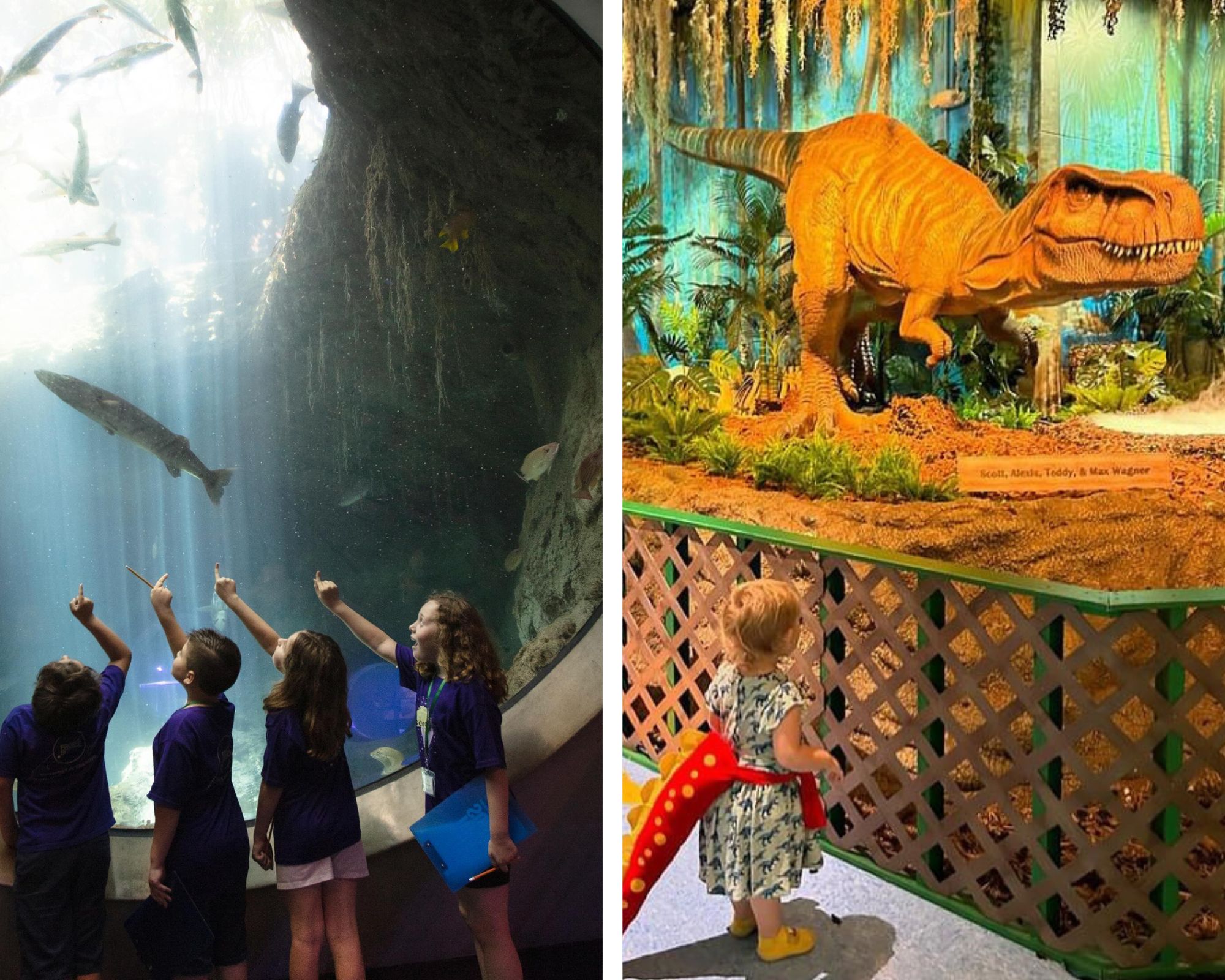 Activities For Kids In Miami