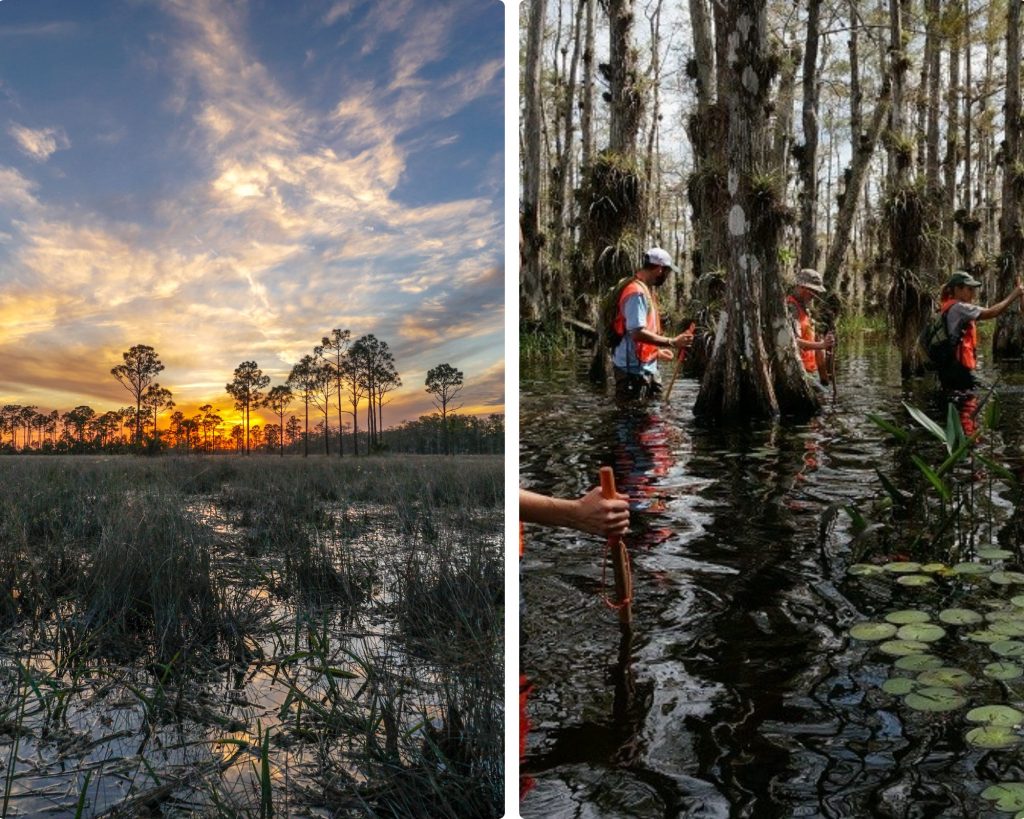 Big Cypress National Preserve