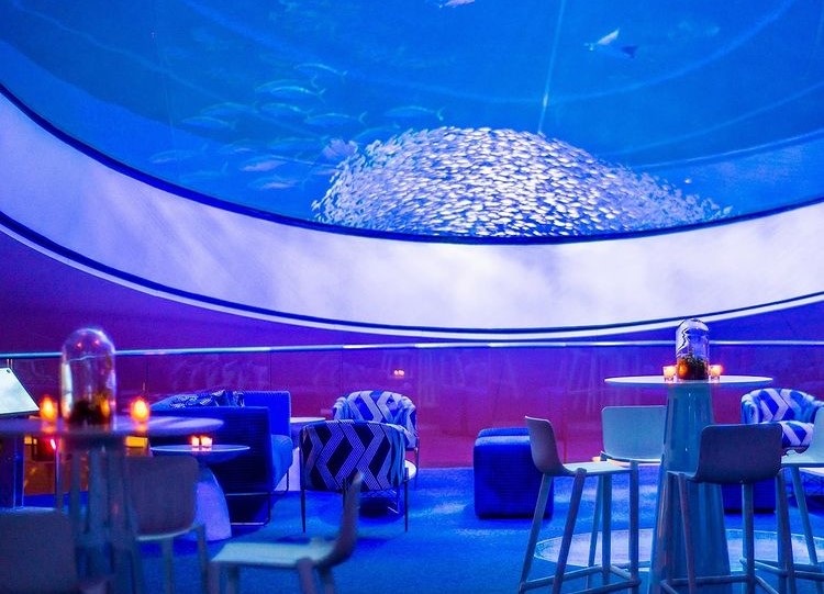 Frost Museum Aquarium