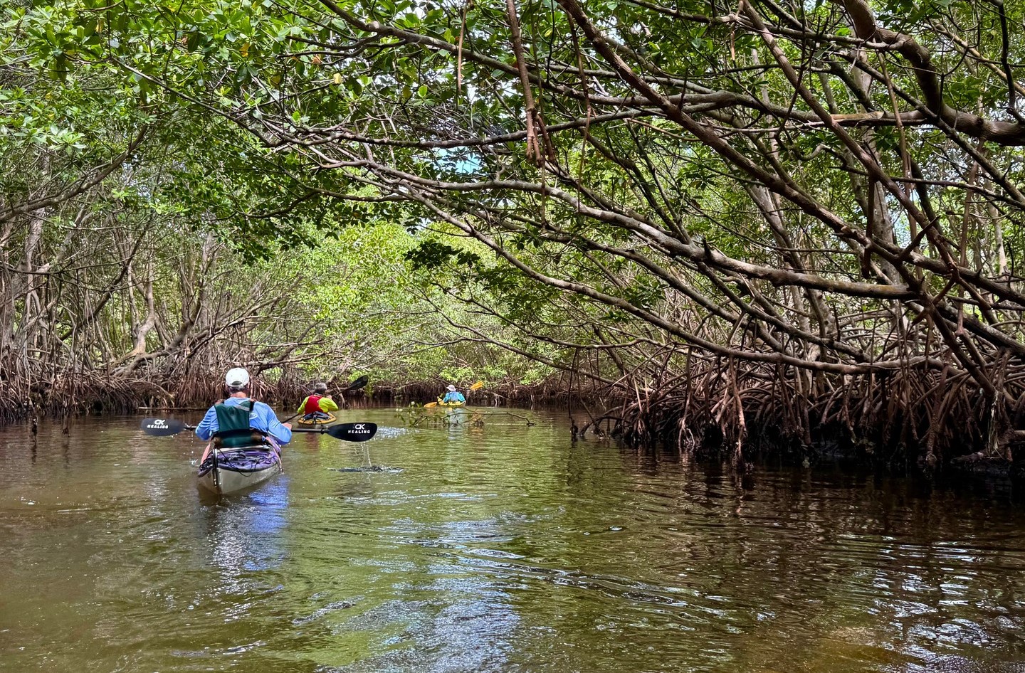 Matheson Hammock Park Adventure