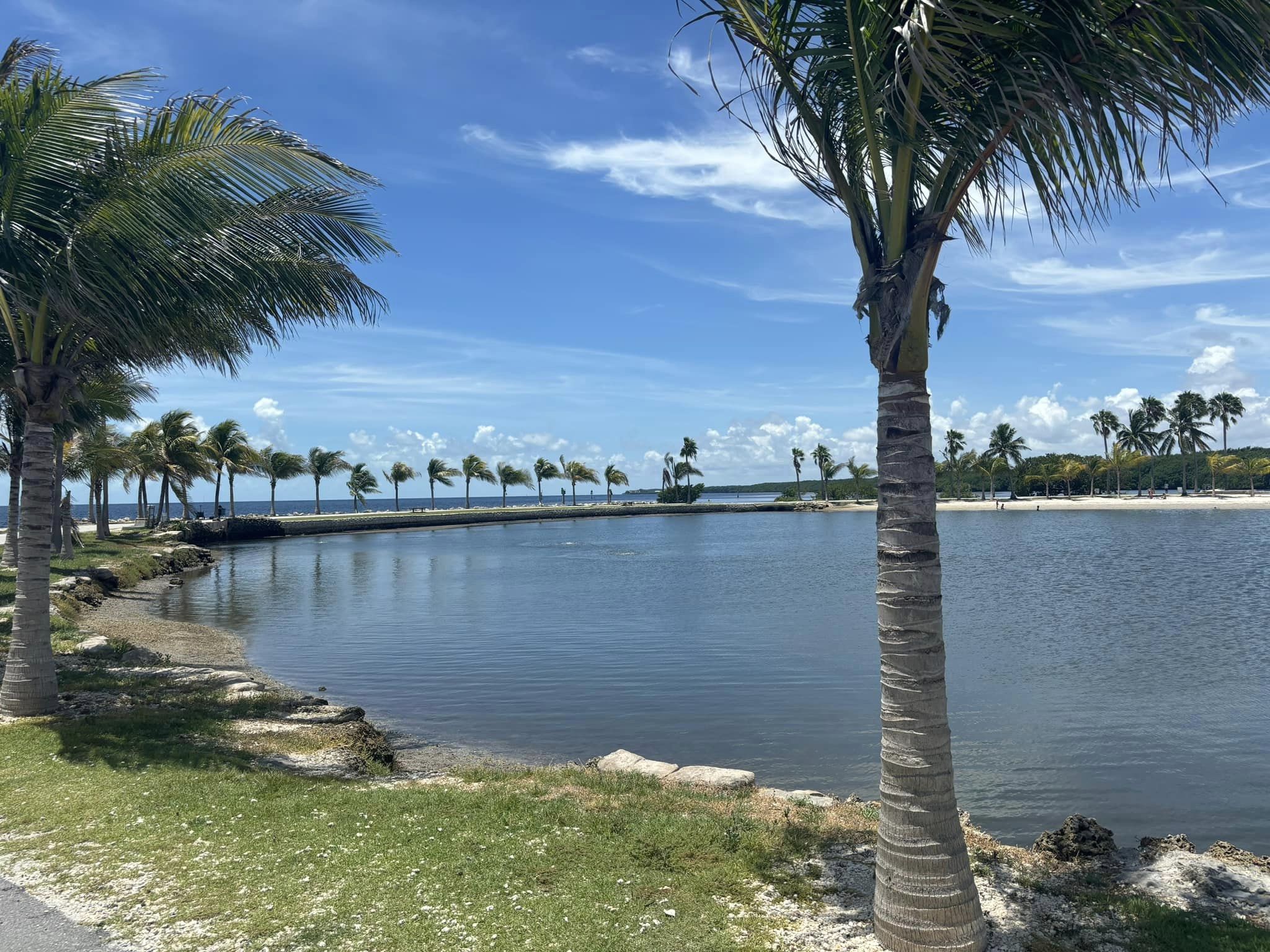 Matheson Hammock Park Closeup