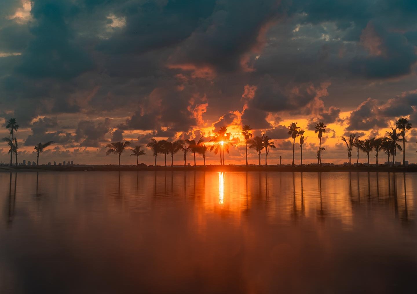 Matheson Hammock Park Night View