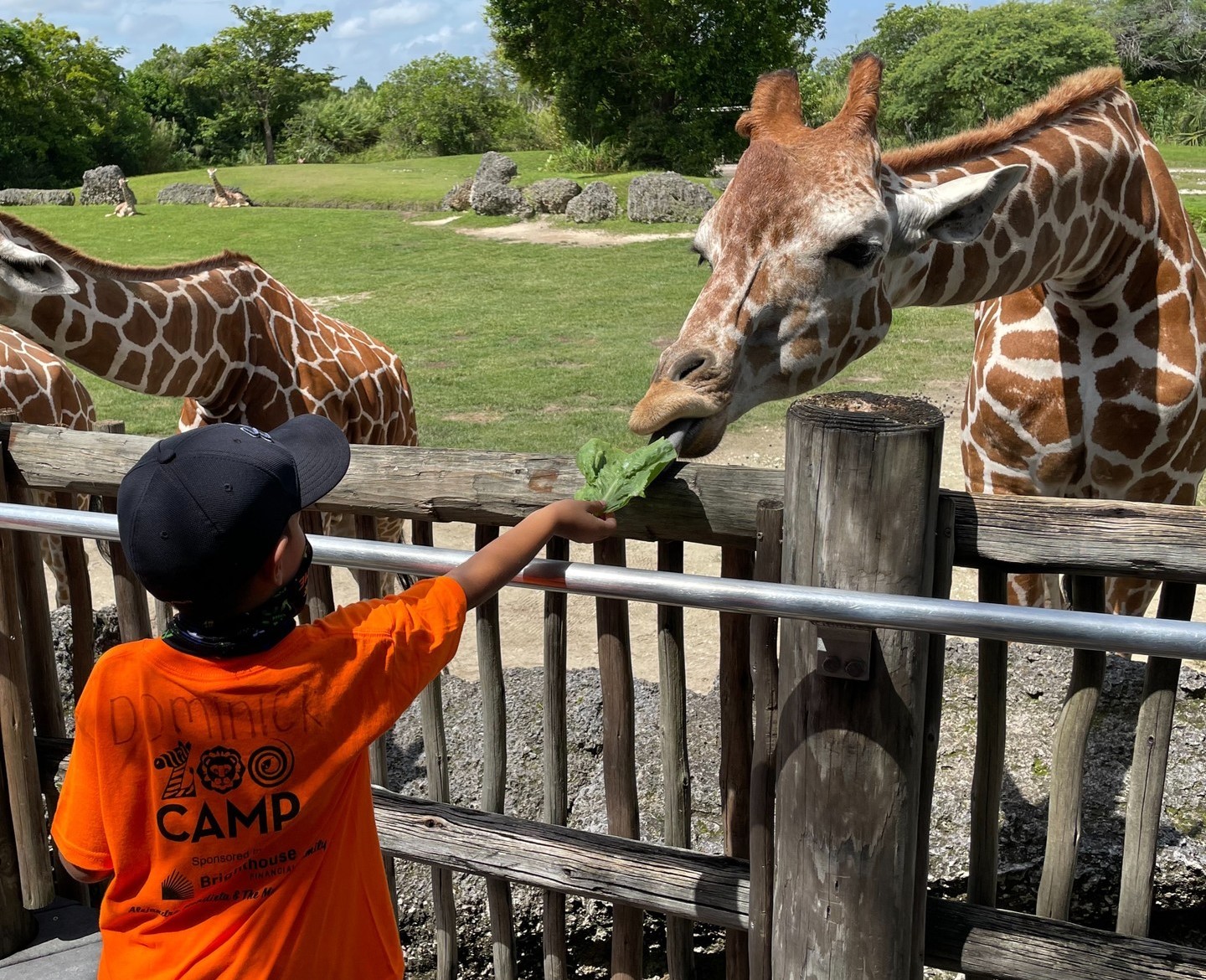 ZooMiami Giraffe with kid