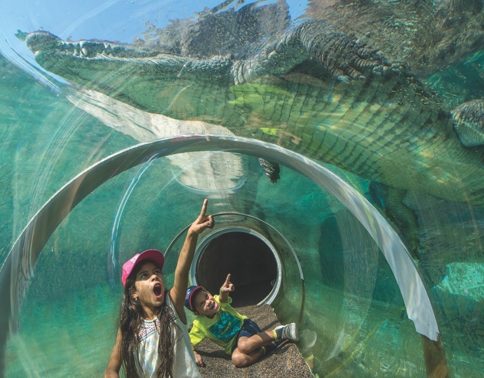 ZooMiami Underwater