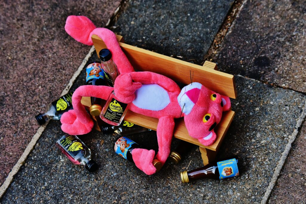 Public Intoxication Not Allowed