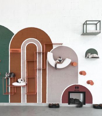 Cat Cafe Vibrissae