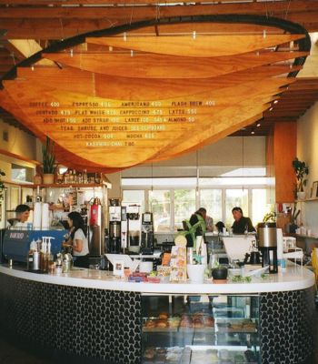 Dinosaur Coffee