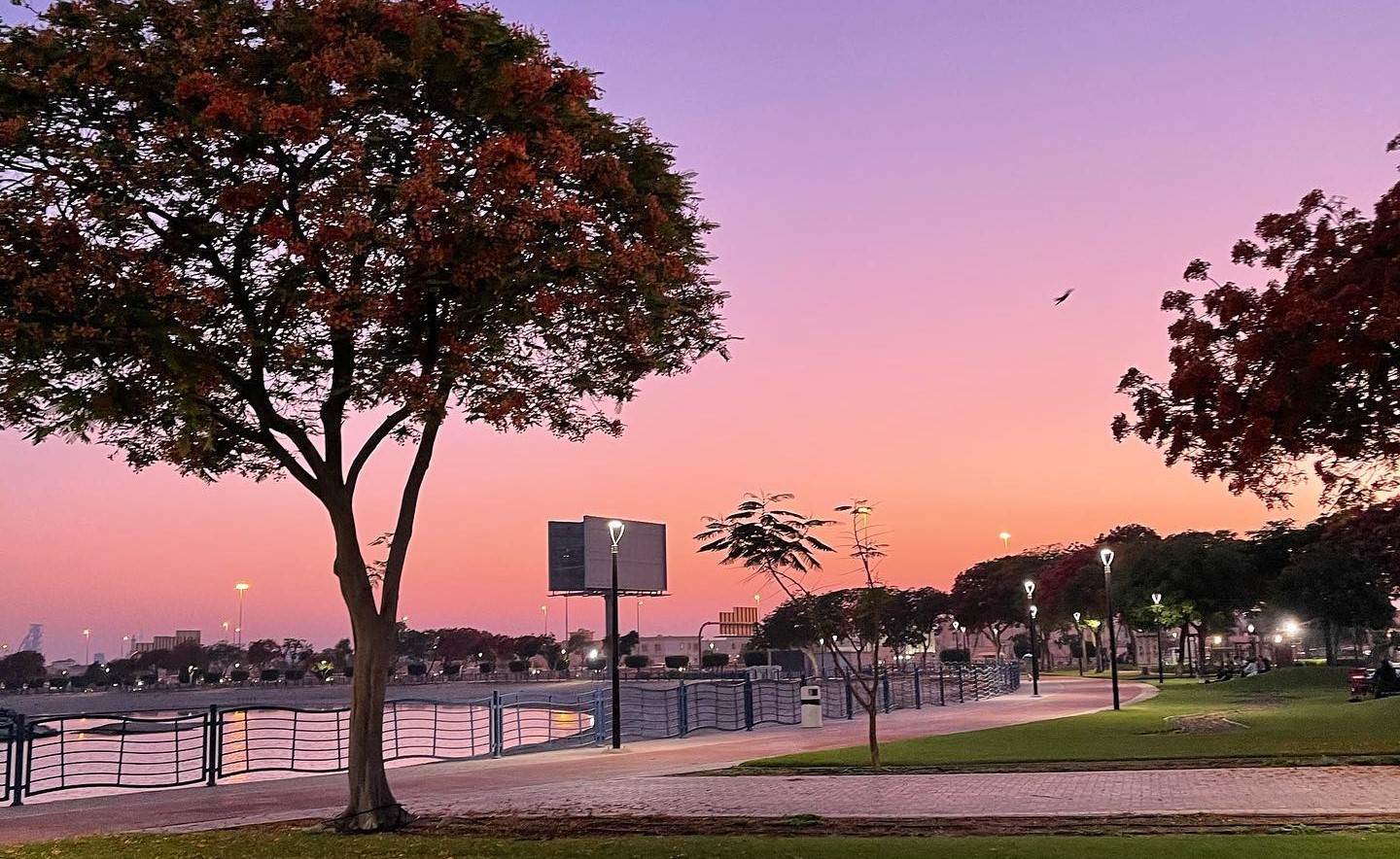 Al Quoz Pond Park Sunset View