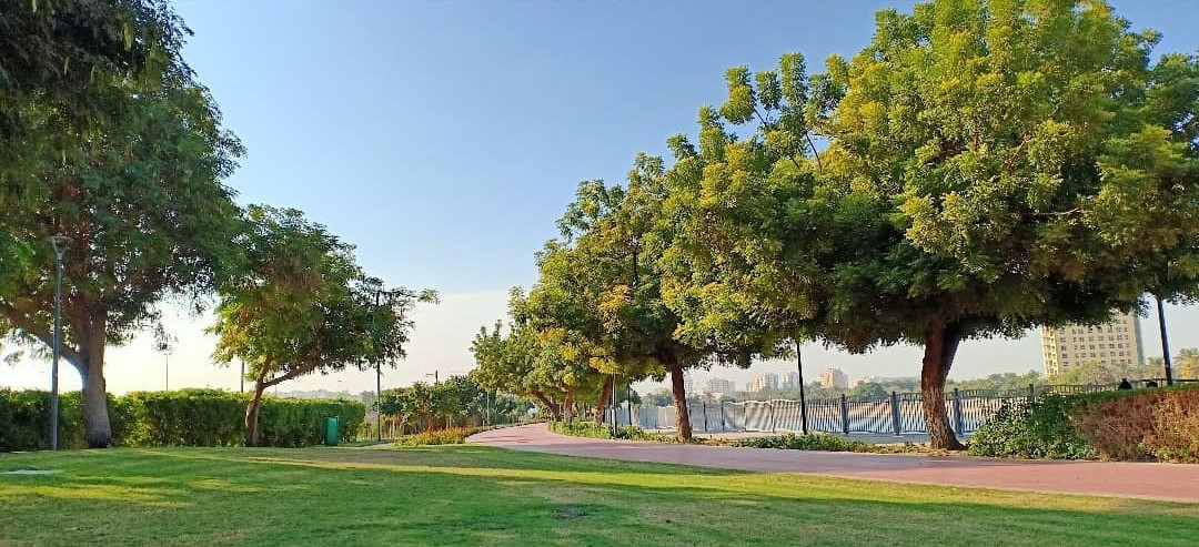 alnahdapondpark img4