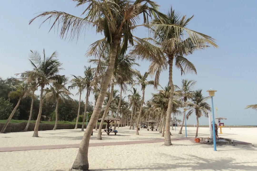 jumeirahbeach img3