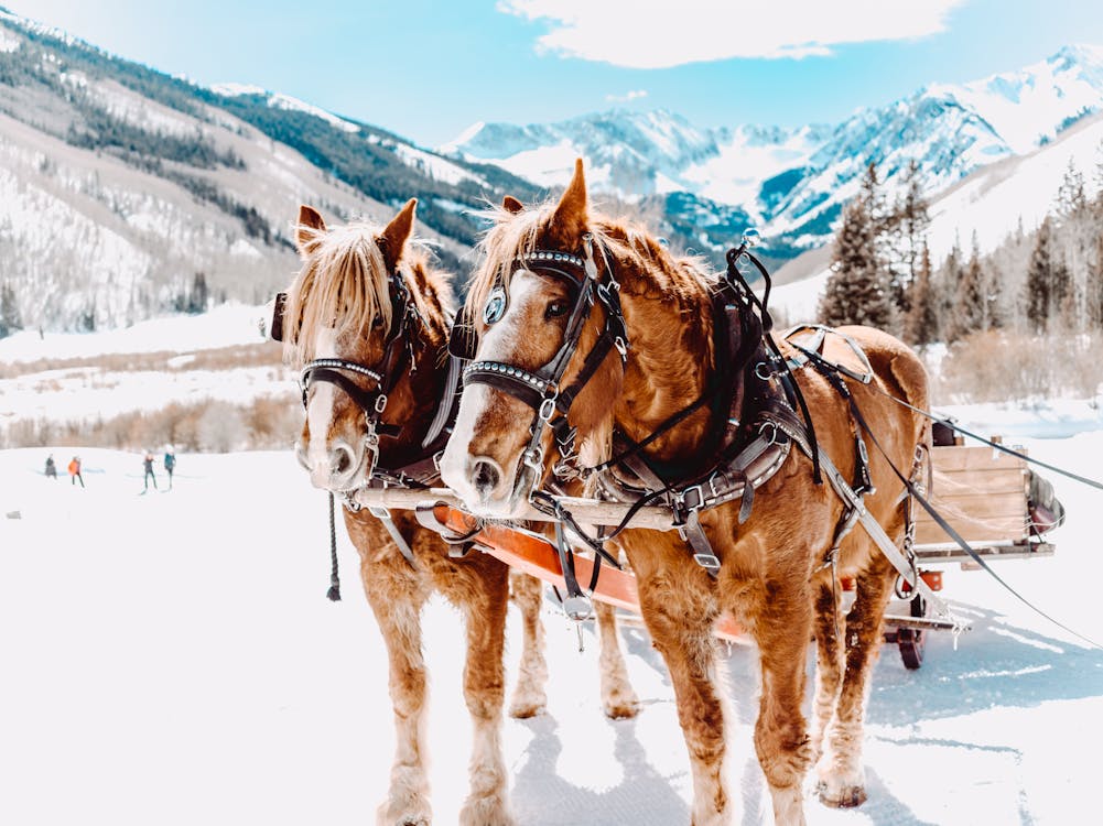 23 Best Places To Visit In The US In January - Aspen, CO