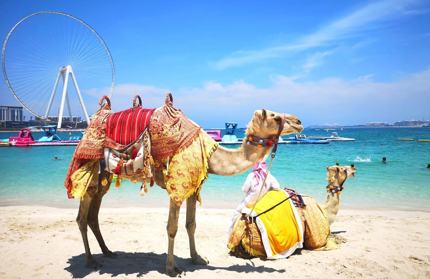 Marina Beach Camel Ride