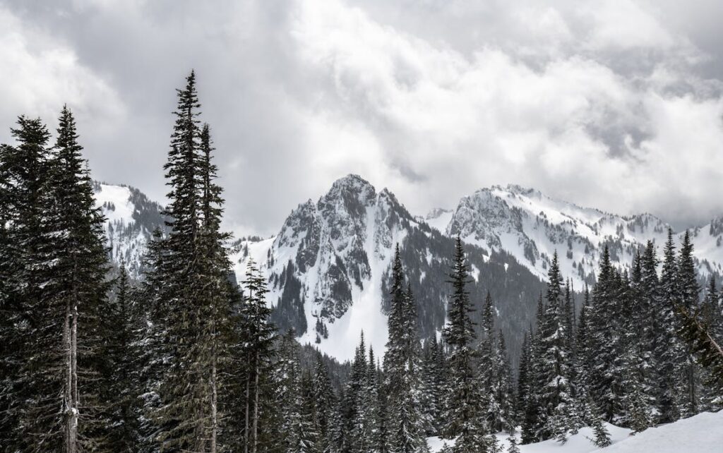 23 Best Places To Visit In The US In January - Seattle, WA