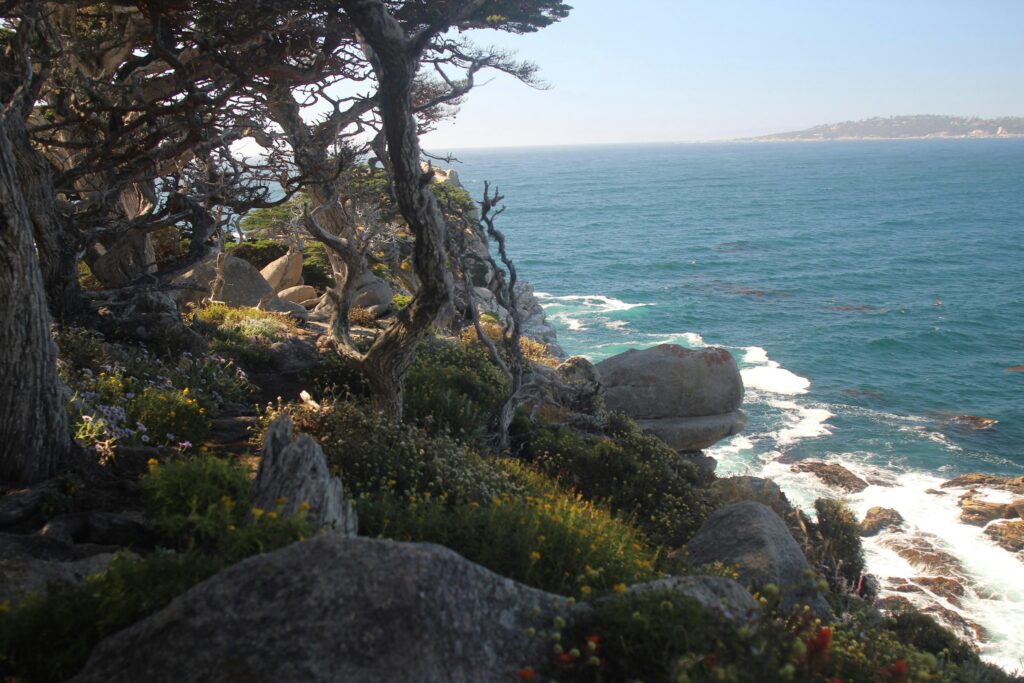A Cliff Overlooking Ocean In A Hidden Coastal Town In The US – Carmel-By-The-Sea, California