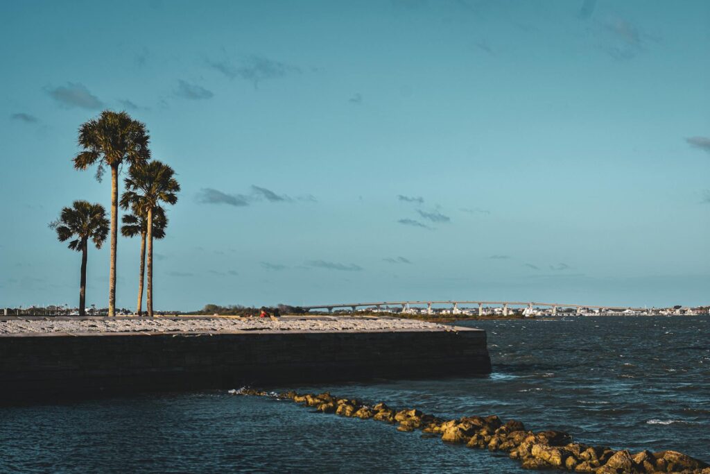 Palm Trees In St. Augustine, Florida, An Underrated Seaside Town In America