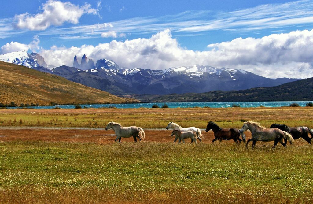 Cool Summer Destination In July With Scenic Hiking Trails In Patagonia, Chile